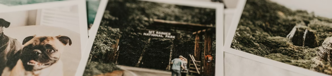 Närbild av utskrivna fotografier med motiv som byggnad, solnedgång och cykelhjul